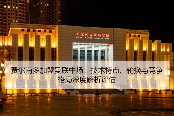 fei-er-nan-duo-jia-meng-man-lian-zhong-chang-ji-shu-te-dian-lun-huan-yu-jing-zheng-ge-ju-shen-du-jie-xi-ping-gu-2-876.jpg