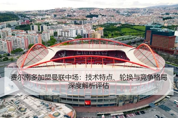 费尔南多加盟曼联中场：技术特点、轮换与竞争格局深度解析评估