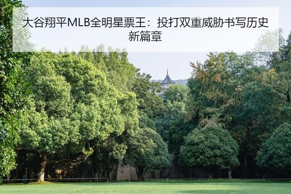 da-gu-xiang-ping-quan-ming-xing-piao-wang-tou-da-shuang-chong-wei-xie-shu-xie-li-shi-xin-pian-zhang-2-701.jpg